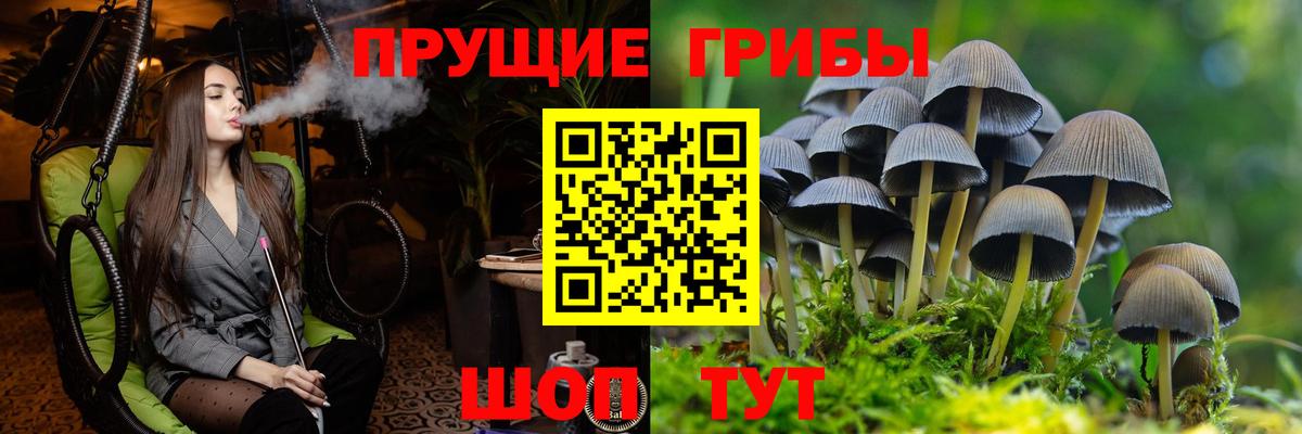 Лыткарино  Галлюциногенные грибы мухоморы  Вход с VPN 